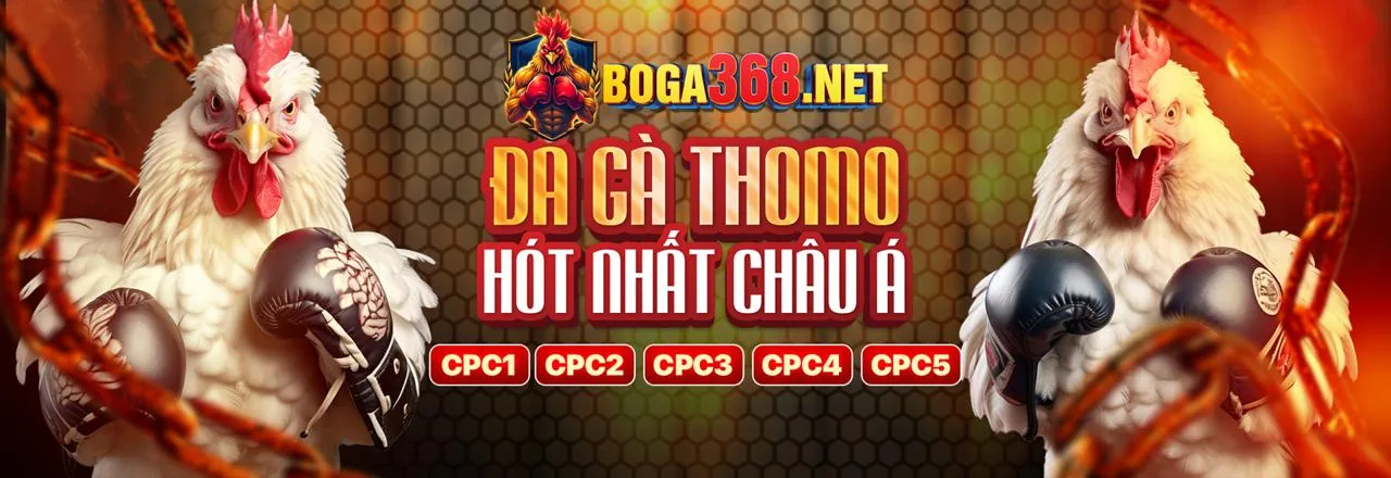 Bóng đá - môn thể thao vua
